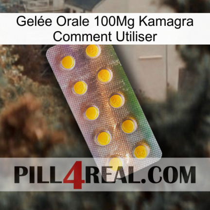 Gelée Orale 100Mg Kamagra Comment Utiliser new11
